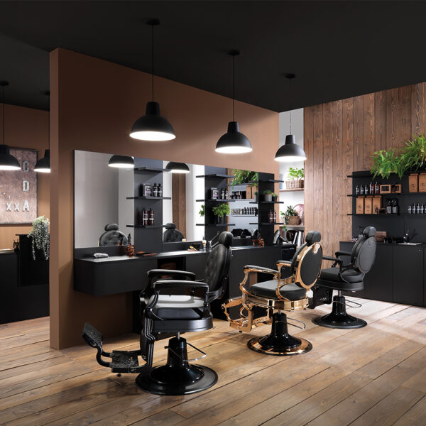 Hair Custom Gold King  Barber szék - Image 6