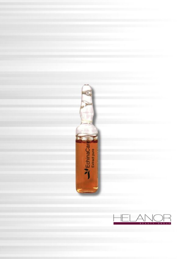 EchinaCare Extract Pure ampulla